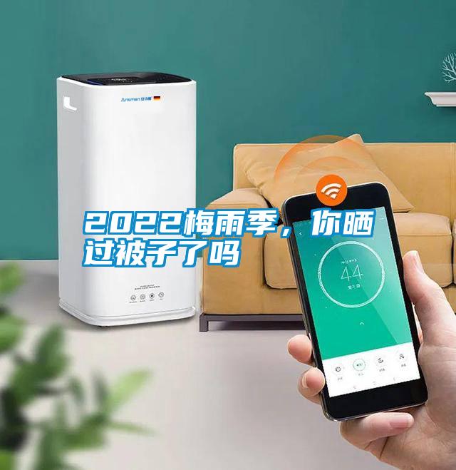 2022梅雨季，你曬過被子了嗎