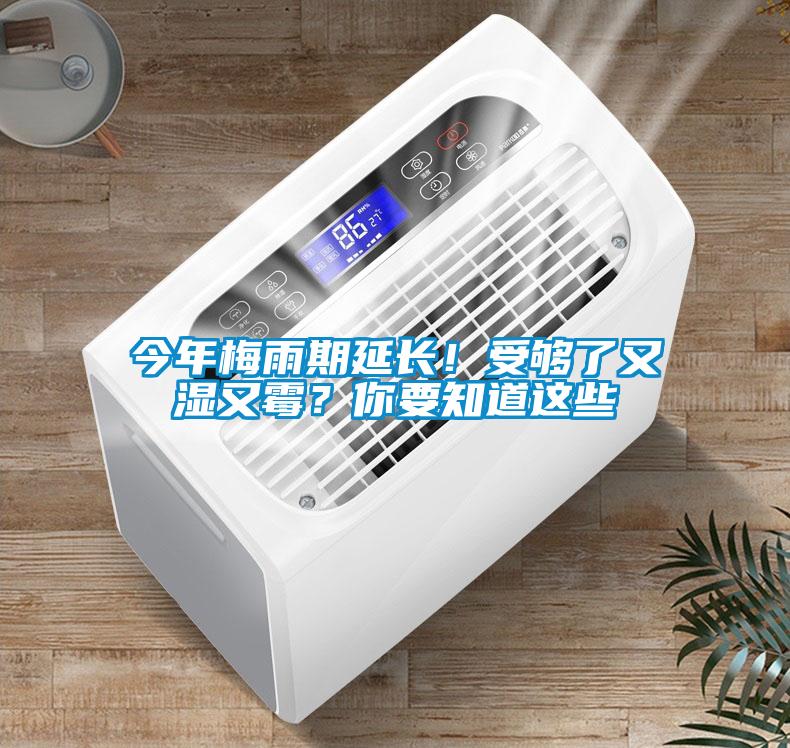 今年梅雨期延長！受夠了又濕又霉？你要知道這些