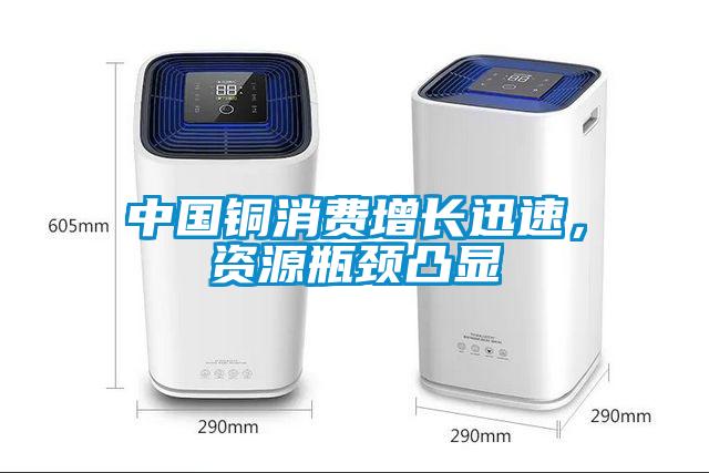 中國(guó)銅消費(fèi)增長(zhǎng)迅速，資源瓶頸凸顯