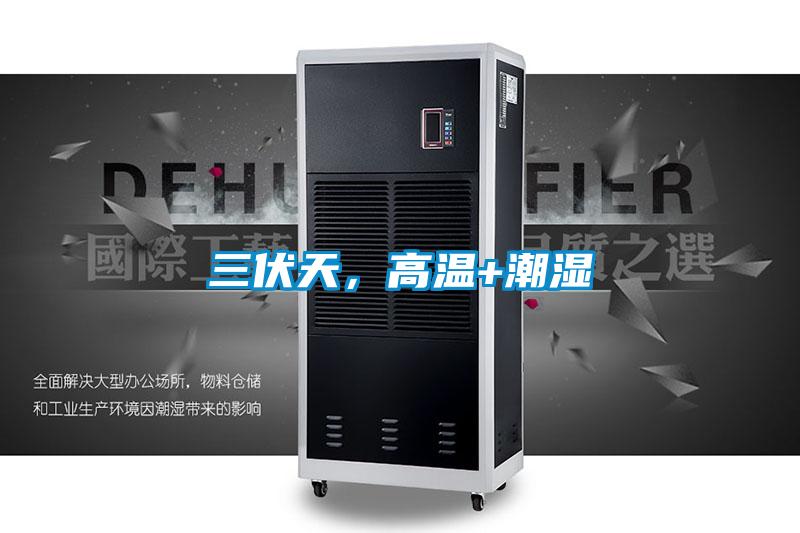 三伏天，高溫+潮濕