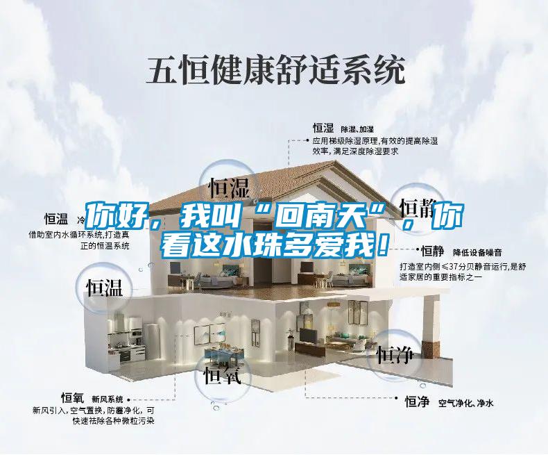 你好，我叫“回南天”，你看這水珠多愛我！
