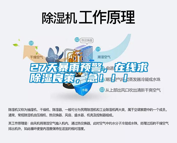 27天暴雨預警，在線求除濕良策，急?。?！