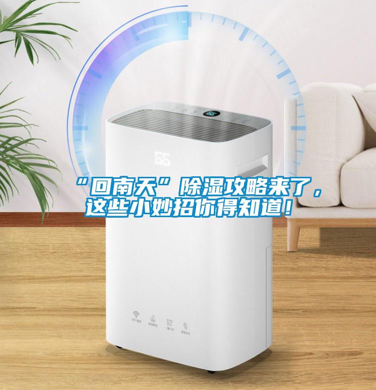 “回南天”除濕攻略來了，這些小妙招你得知道！