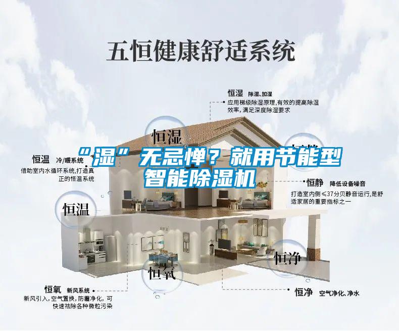 “濕”無(wú)忌憚？就用節(jié)能型智能除濕機(jī)