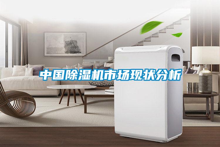 中國除濕機(jī)市場(chǎng)現(xiàn)狀分析