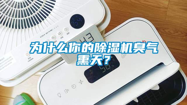 為什么你的除濕機臭氣熏天？