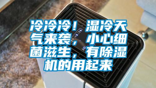 冷冷冷！濕冷天氣來襲，小心細菌滋生，有除濕機的用起來