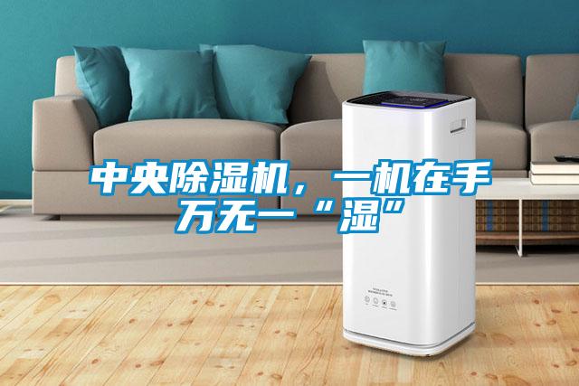 中央除濕機，一機在手萬無一“濕”
