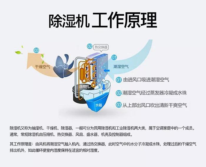 為室內綠化園添置除濕機需要考慮哪些因素？
