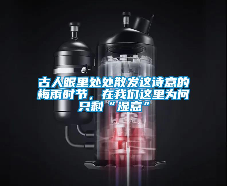 古人眼里處處散發(fā)這詩(shī)意的梅雨時(shí)節(jié)，在我們這里為何只剩“濕意”