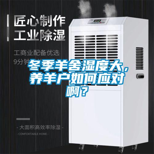 冬季羊舍濕度大，養羊戶如何應對啊？