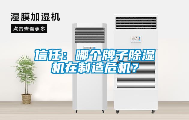 信任：哪個(gè)牌子除濕機(jī)在制造危機(jī)？