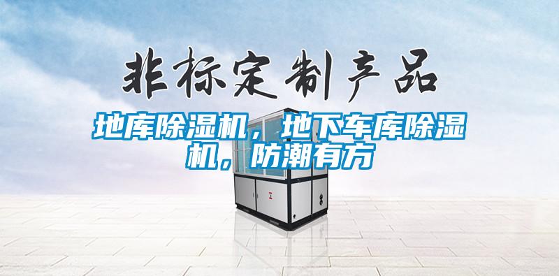 地庫除濕機，地下車庫除濕機，防潮有方