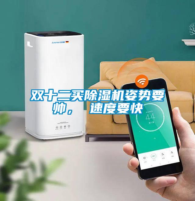 雙十二買除濕機(jī)姿勢要帥， 速度要快