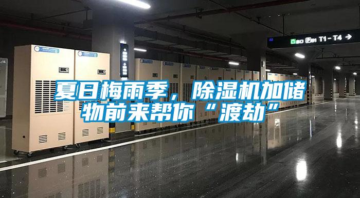 夏日梅雨季，除濕機加儲物前來幫你“渡劫”