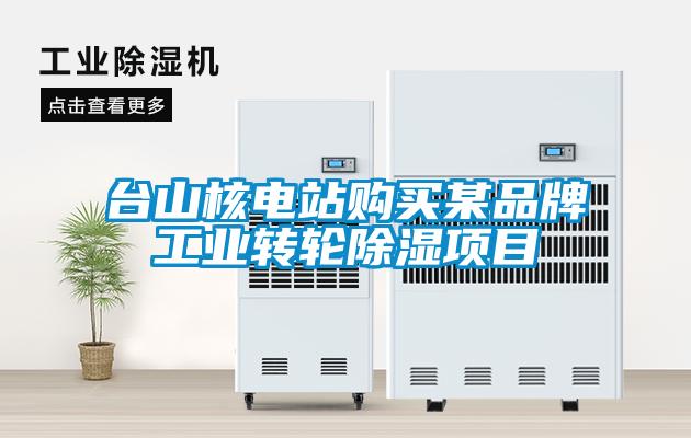 臺山核電站購買某品牌工業(yè)轉(zhuǎn)輪除濕項目