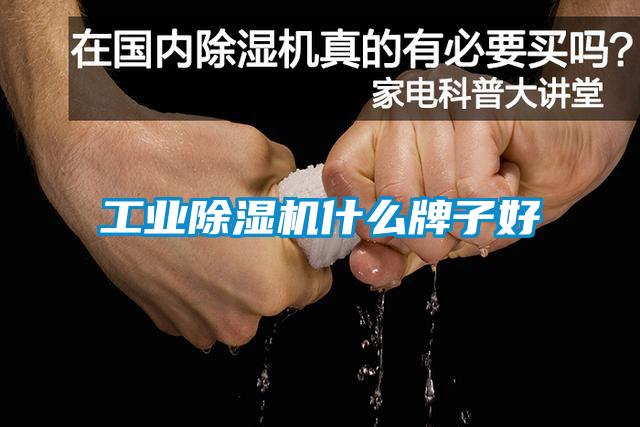 工業(yè)除濕機(jī)什么牌子好