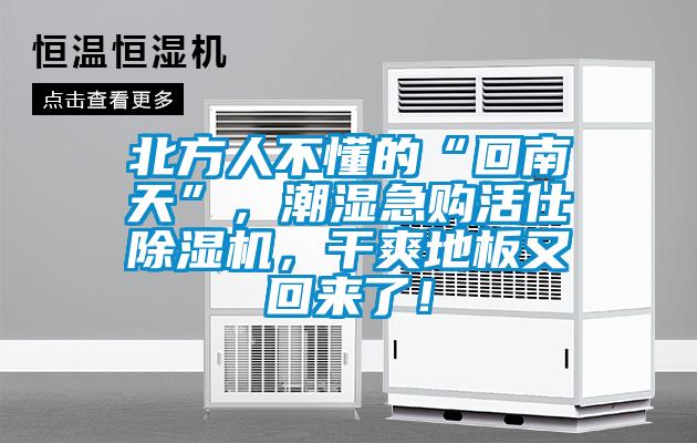 北方人不懂的“回南天”，潮濕急購(gòu)活仕除濕機(jī)，干爽地板又回來(lái)了！