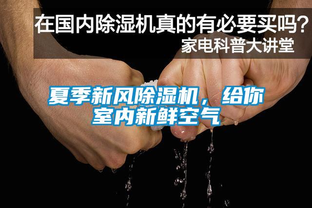 夏季新風(fēng)除濕機(jī)，給你室內(nèi)新鮮空氣