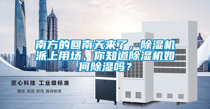 南方的回南天來了，除濕機派上用場，你知道除濕機如何除濕嗎？
