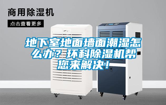 地下室地面墻面潮濕怎么辦？環(huán)科除濕機幫您來解決！