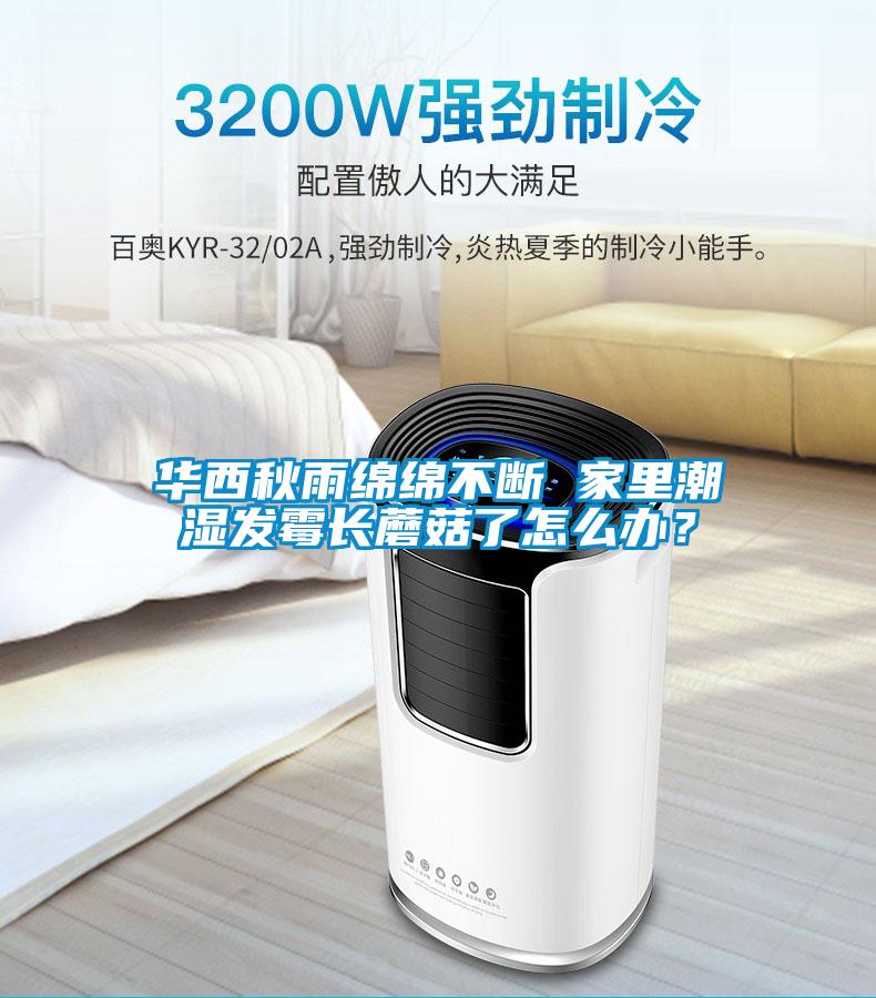 華西秋雨綿綿不斷 家里潮濕發(fā)霉長蘑菇了怎么辦？