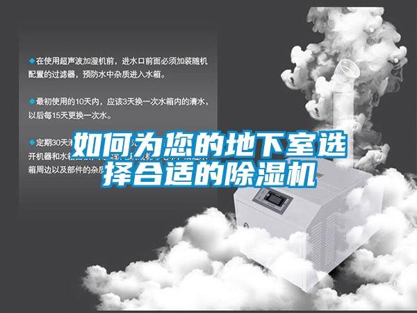 如何為您的地下室選擇合適的除濕機(jī)