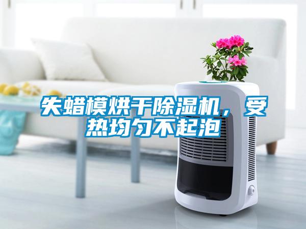 失蠟模烘干除濕機，受熱均勻不起泡