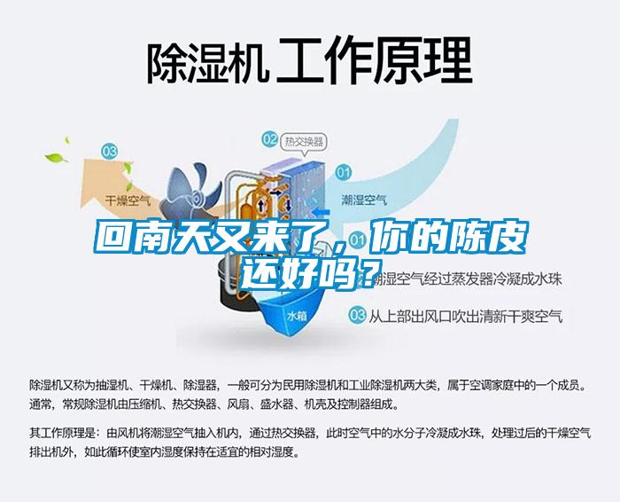 回南天又來了，你的陳皮還好嗎？