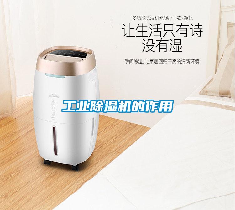 工業(yè)除濕機的作用
