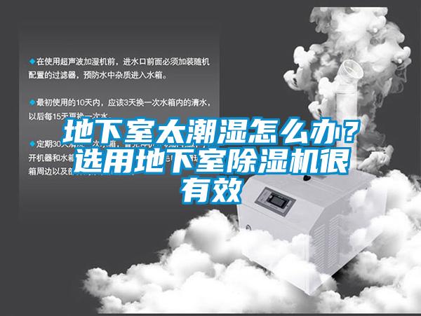 地下室太潮濕怎么辦？選用地下室除濕機很有效