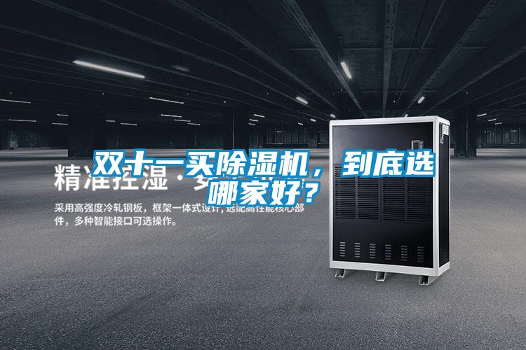 雙十一買除濕機(jī)，到底選哪家好？