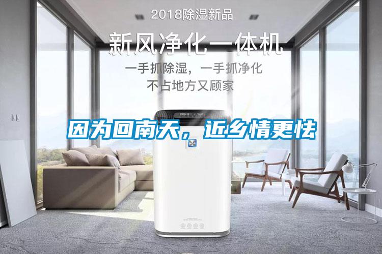 因為回南天，近鄉(xiāng)情更怯