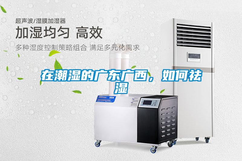 在潮濕的廣東廣西，如何祛濕