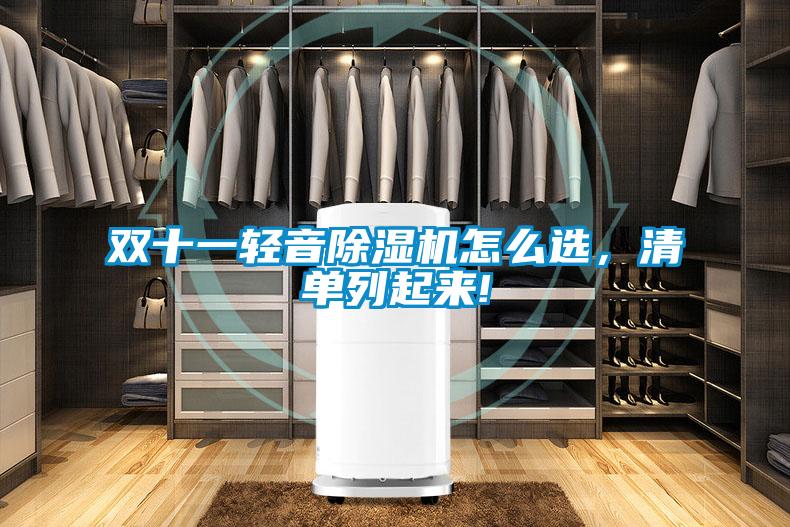 雙十一輕音除濕機怎么選，清單列起來!