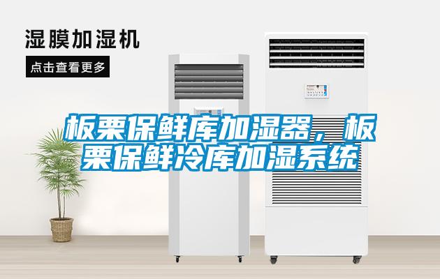 板栗保鮮庫加濕器，板栗保鮮冷庫加濕系統(tǒng)