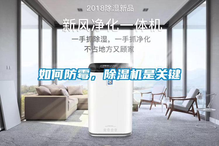 如何防霉,除濕機(jī)是關(guān)鍵