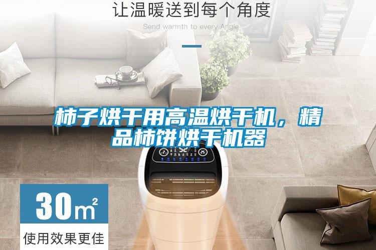 柿子烘干用高溫烘干機(jī)，精品柿餅烘干機(jī)器
