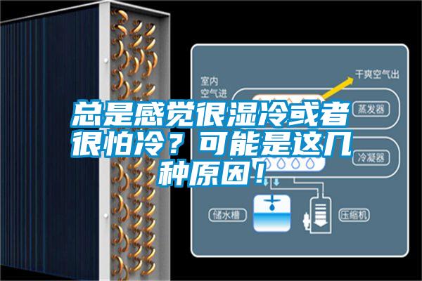 總是感覺很濕冷或者很怕冷？可能是這幾種原因！