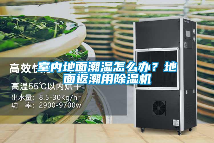 室內地面潮濕怎么辦？地面返潮用除濕機