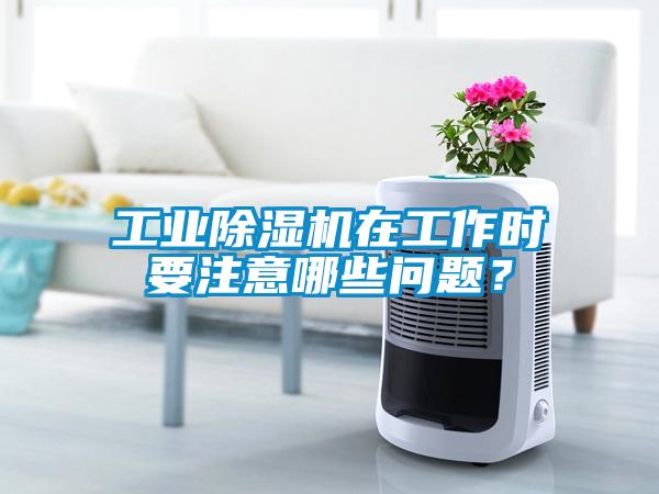 工業(yè)除濕機(jī)在工作時(shí)要注意哪些問題？