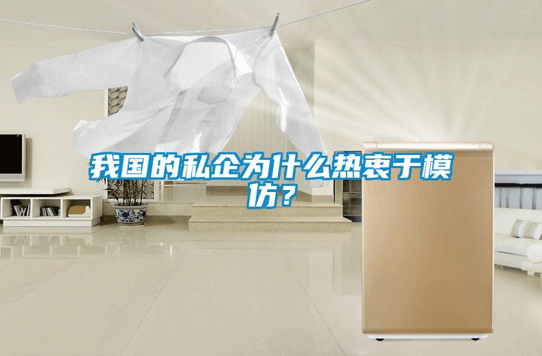 我國的私企為什么熱衷于模仿？