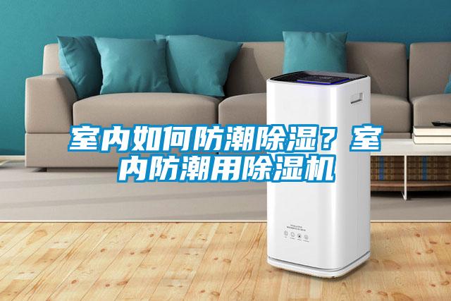 室內如何防潮除濕？室內防潮用除濕機