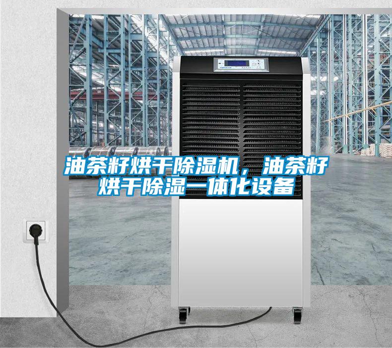 油茶籽烘干除濕機，油茶籽烘干除濕一體化設備