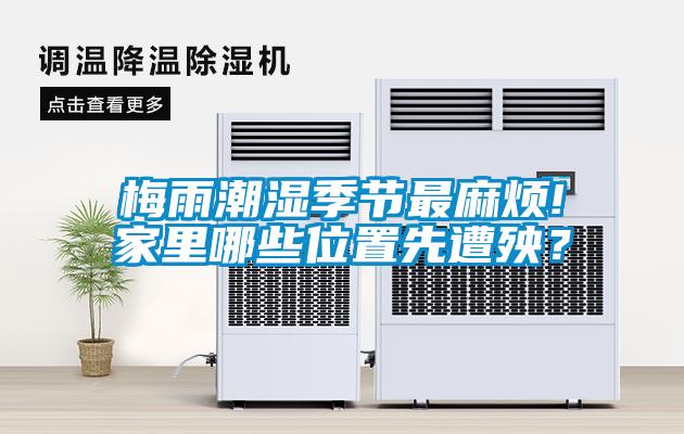 梅雨潮濕季節(jié)最麻煩!家里哪些位置先遭殃？