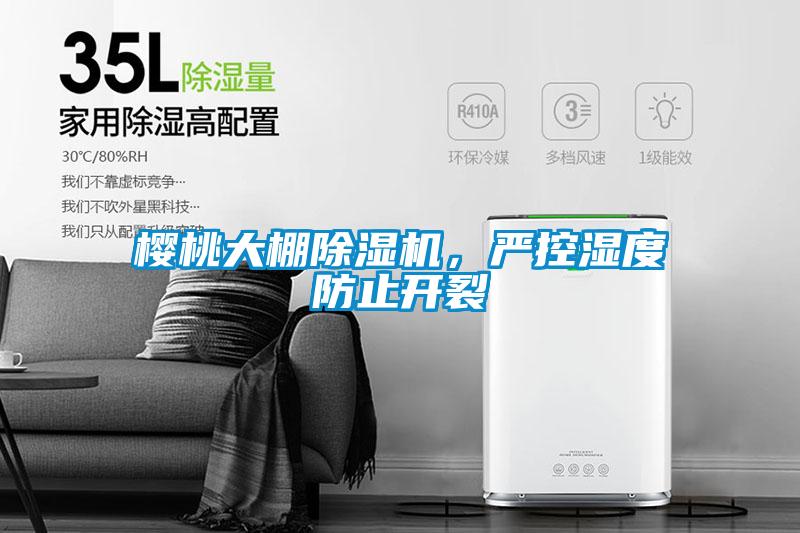 櫻桃大棚除濕機，嚴控濕度防止開裂
