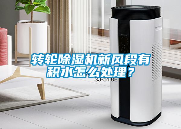 轉輪除濕機新風段有積水怎么處理?