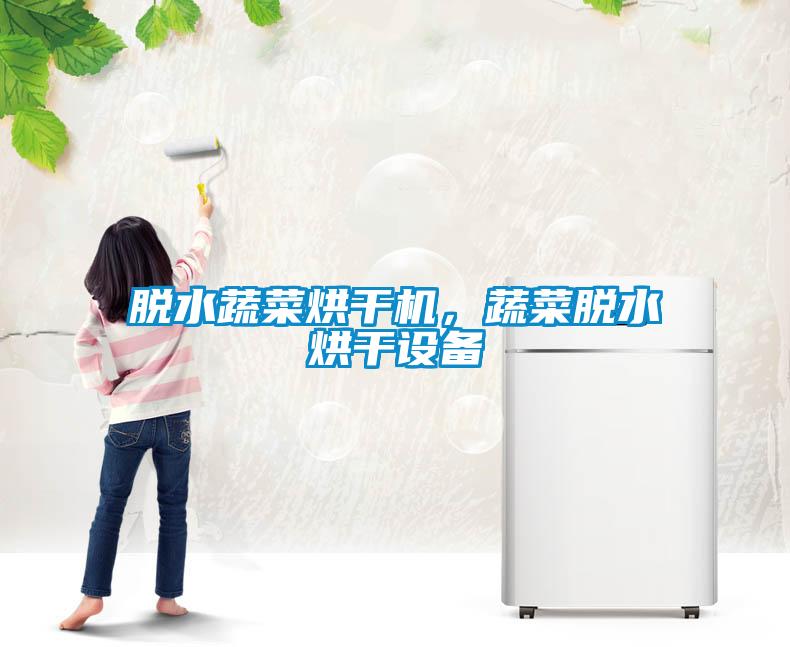 脫水蔬菜烘干機，蔬菜脫水烘干設備