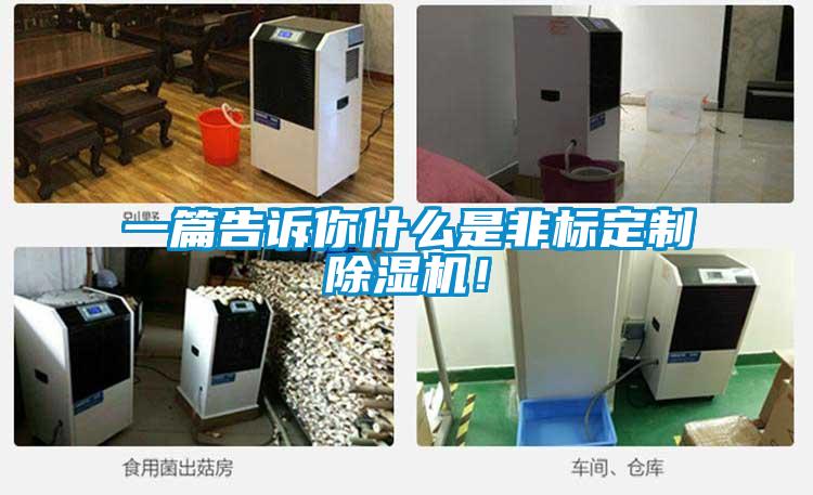 一篇告訴你什么是非標定制除濕機！