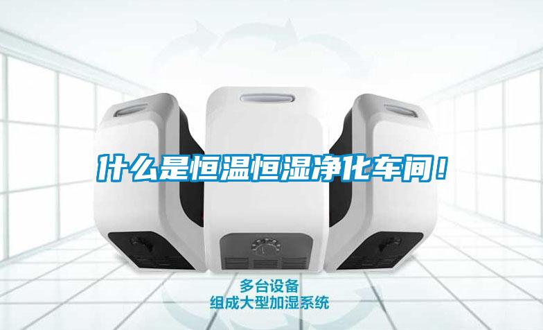 什么是恒溫恒濕凈化車間！